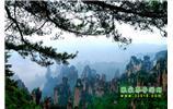 【純玩獨立成團線路1】張家界、袁家界、天子山、寶峰湖/黃龍洞二晚三日