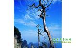 湘西之旅：張家界、天子山、寶峰湖/黃龍洞、鳳凰古城、猛洞河漂流、天門山六日游