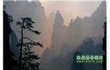 張家界國家森林公園、寶峰湖/黃龍洞、鳳凰古城、三峽八日游