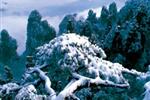 【純玩散拼線路17】張家界、天子山、芙蓉鎮(zhèn)、猛洞河漂流、鳳凰古城三晚四日游