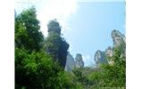 【純玩拼團(tuán)線路 張家界出發(fā)A2線】張家界、袁家界、天子山、金鞭溪、鳳凰古城2晚3日游